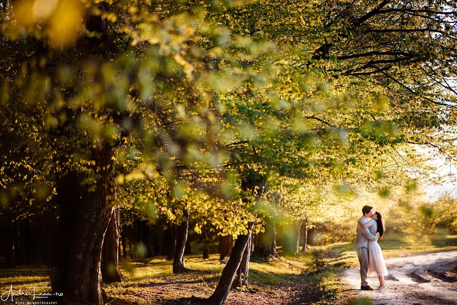 Fotografo di matrimoni Andrei Enea (andreienea). Foto del 17 maggio 2021