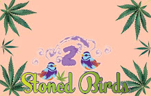 Two Stoned Birds - 420 News & Headshop small promo image