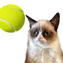 Icon Cat Tennis: Battle Meme