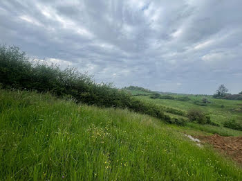 terrain à Lozanne (69)