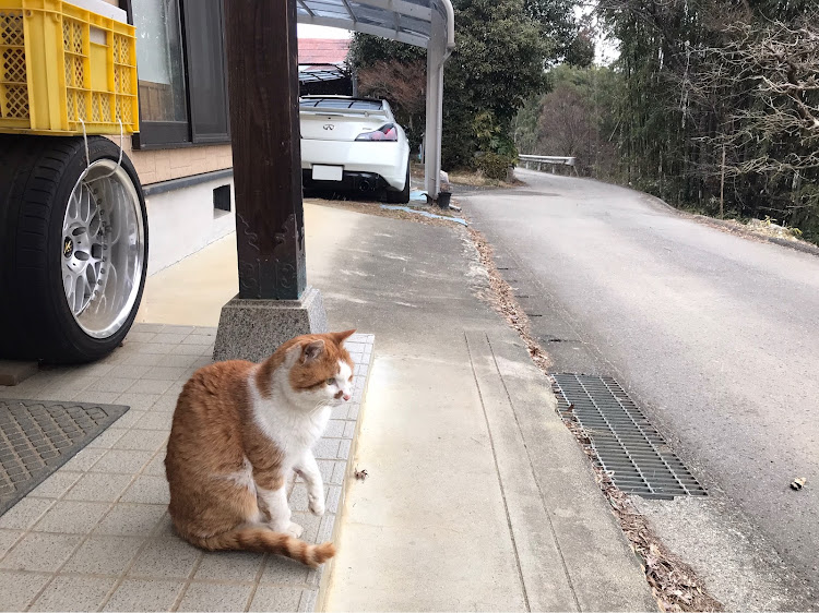 の投稿画像16枚目