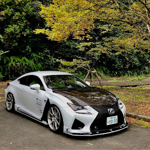 RC F USC10