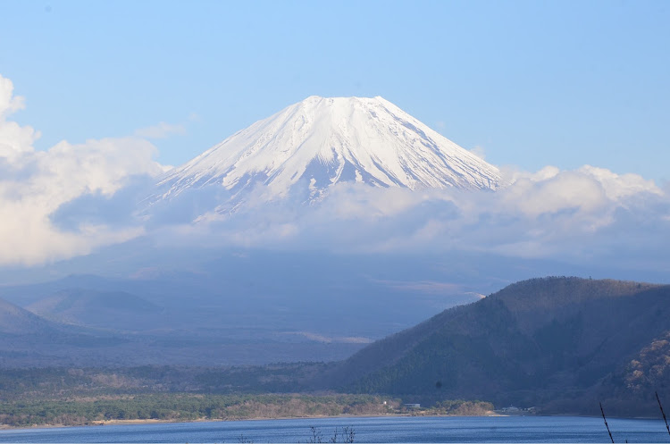 の投稿画像2枚目