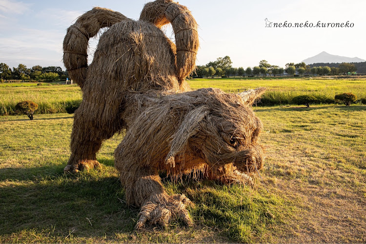 ノート オーラの#FE13#FE13ｵｰﾗ#ｵｰﾗﾆｽﾓ#AURA#e-POWER#新潟・#CanonEOSKissM2#ｶﾒﾗ活動#ｶﾒ活#ﾐﾗｰﾚｽ一眼・#ｽﾃｯｶｰ#ｽﾃｯｶｰﾁｭｰﾝ#ｻｲﾄﾞﾃﾞｶｰﾙ#自作・#Lightroom #Lightroom iPad #raw現像#車・#上堰潟公園#稾アート#秋の気配に関するカスタム事例の投稿画像6枚目