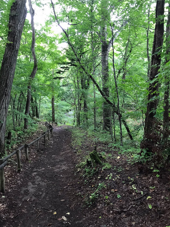 老人ギタリストもどきさんが投稿した北海道・斜里郡・斜里町・来運・来運神社に関するカスタム事例の投稿画像1枚目