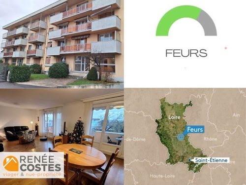 Vente viager 4 pièces 109 m² à Feurs (42110), 78 489 €