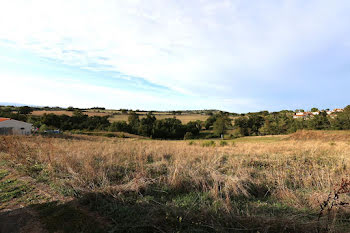 terrain à Saint-Marcel-de-Félines (42)