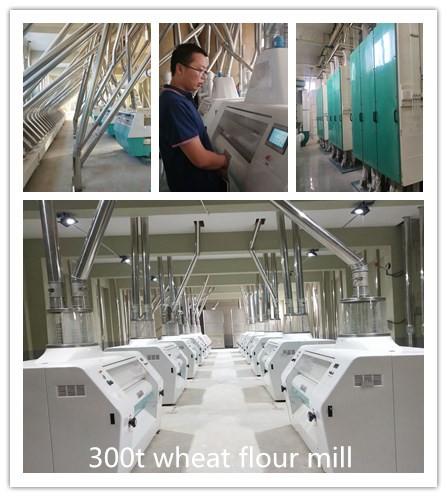 300T wheat flour mill 