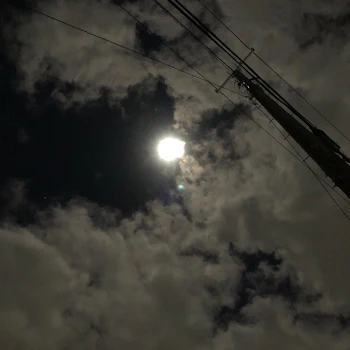 お出かけ