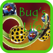 Bug's Life wallpaper  Icon