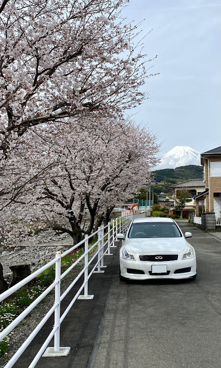 の投稿画像16枚目