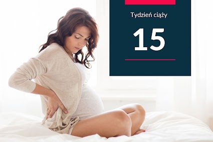 15. tydzień ciąży - kalendarz ciąży