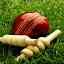 Cricket New Tab & Wallpapers Collection