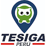 TESIGA PERU icon