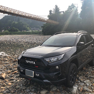 RAV4 MXAA54