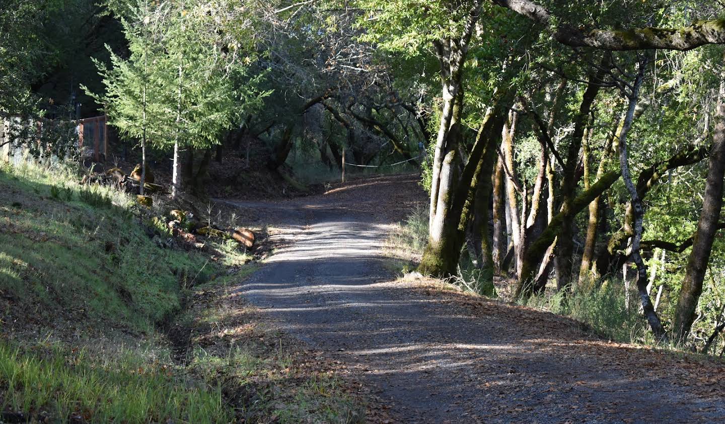 Terrain Healdsburg