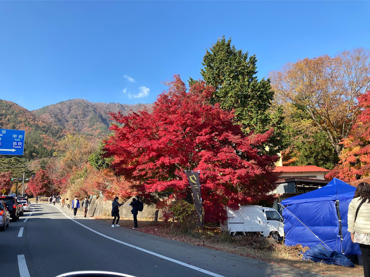 の投稿画像16枚目