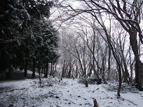 次第に雪景色に