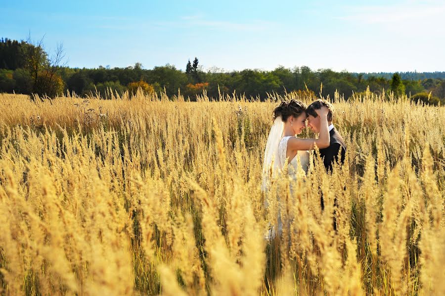 結婚式の写真家Anna Goncharova (fotogonch)。2015 8月26日の写真