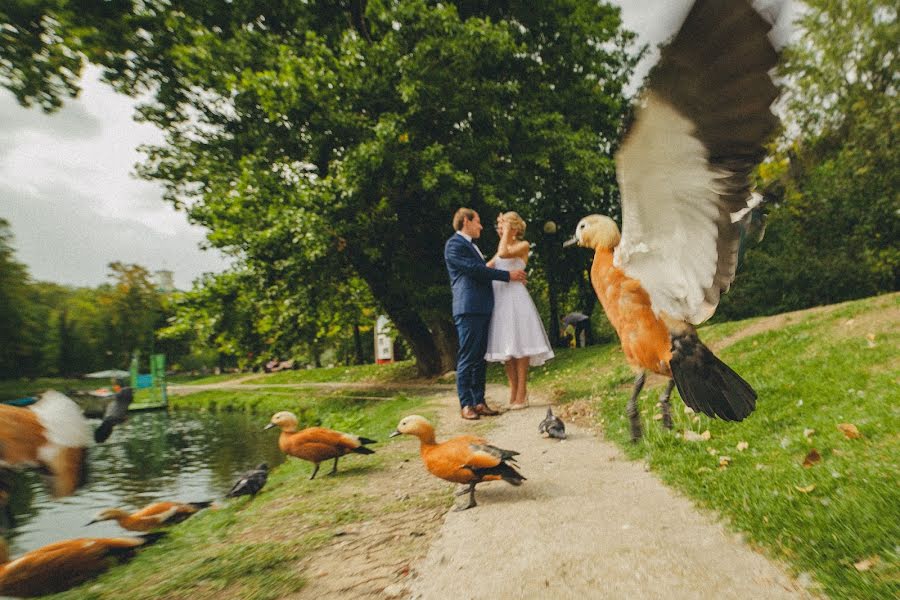 Wedding photographer Aleksandr Muravev (alexmuravey). Photo of 27 November 2014