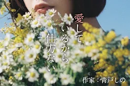 愛しているから仕方ない…