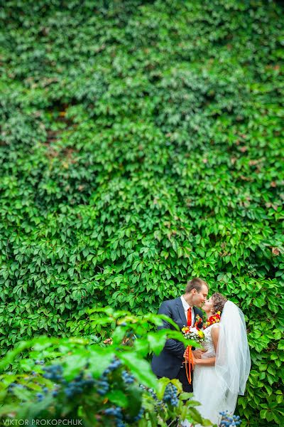 Fotografo di matrimoni Viktor Prokopchuk (prokopchuk). Foto del 1 maggio 2014