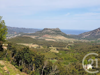 terrain à Poggio-d'Oletta (2B)