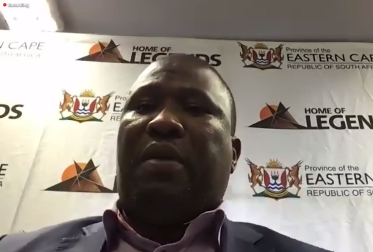 Eastern Cape premier Oscar Mabuyane addresses members of the media during an online press conference on Thursday.