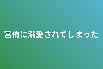 宮侑に溺愛されてしまった