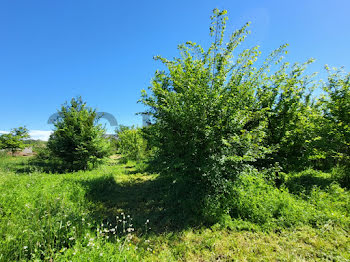 terrain à Uzès (30)