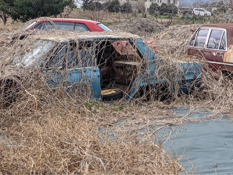スカイラインのハコスカ・墓場・草ヒロ・超合金に関するカスタム事例の投稿画像3枚目