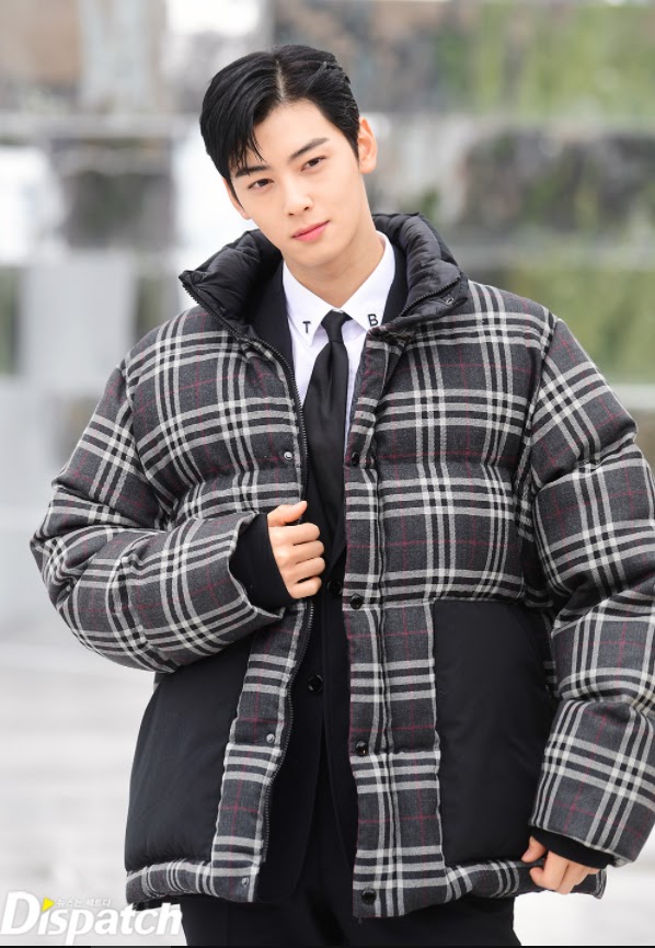 cha eun woo burberry