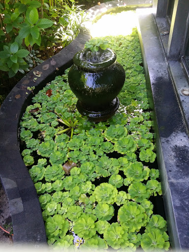 The Spa Water Fountain 