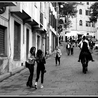 corteggiamento al volo di 