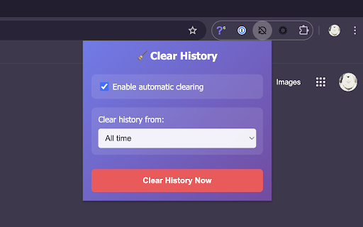 Clear History on Startup