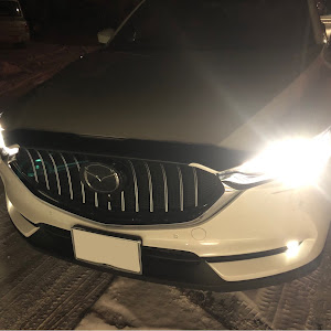 CX-8 KG2P