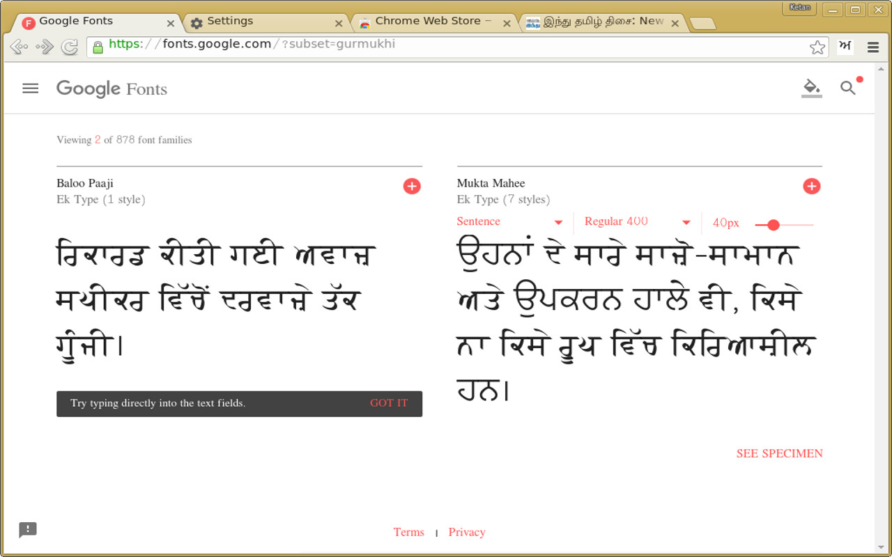 Punjabi Font Pack Preview image 0