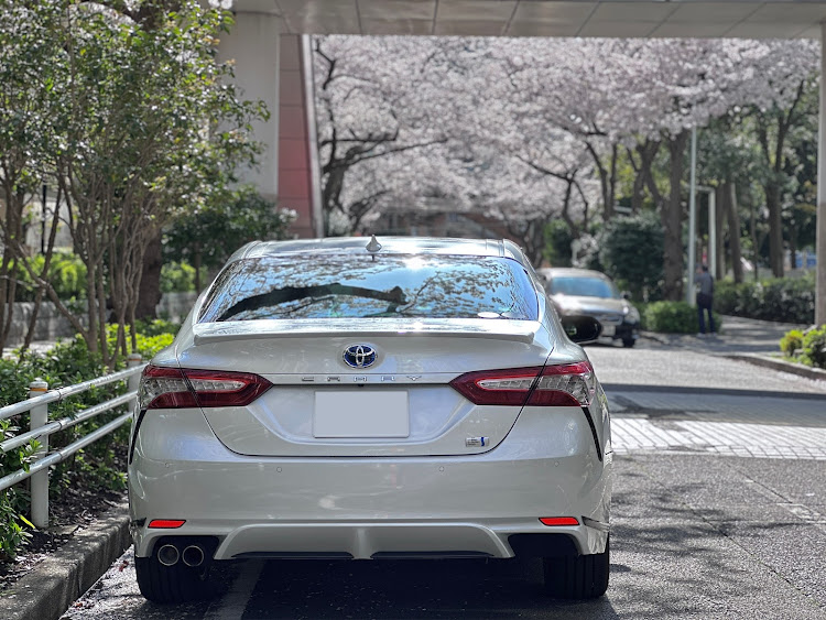 カムリのサクラと愛車・桜とコラボ・ドライブに関するカスタム事例の投稿画像5枚目