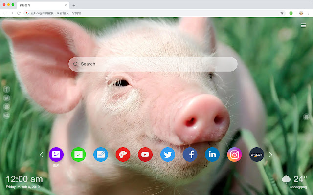 Pigs Popular Animals HD New Tabs Themes