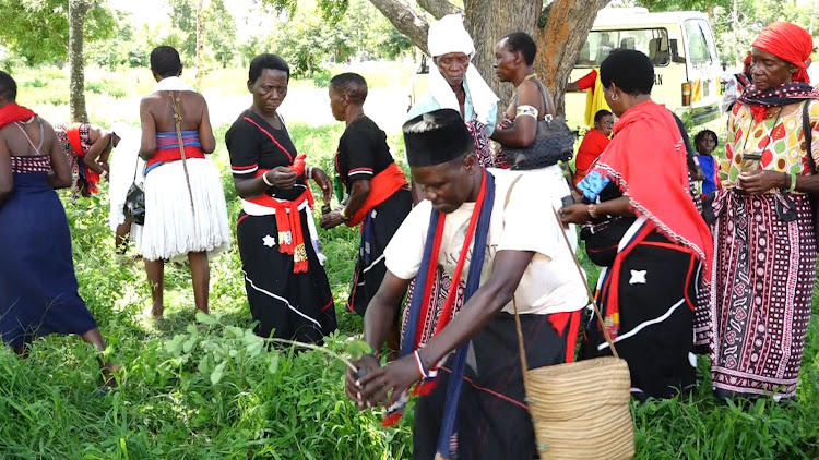 Mijikenda Kaya elders plant trees during the launch of the programme to plant 20 million trees in Marafa, Magarini constituency.