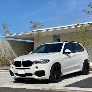 X5 F15