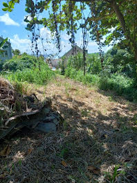 terrain à Ducos (972)