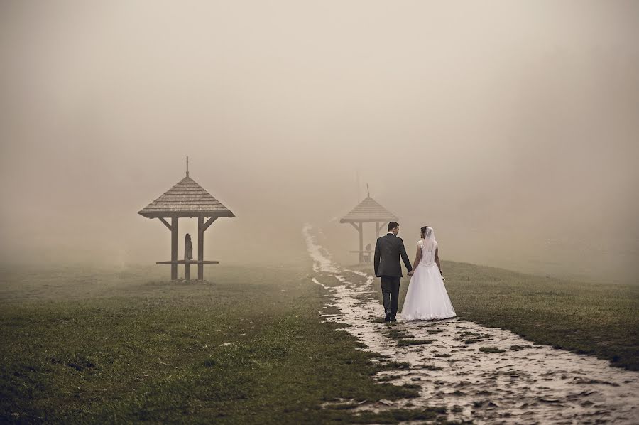 Fotografo di matrimoni Monika Szczygieł (goldfinchforlife). Foto del 5 ottobre 2020