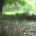 Real Rain Live Wallpaper Pro