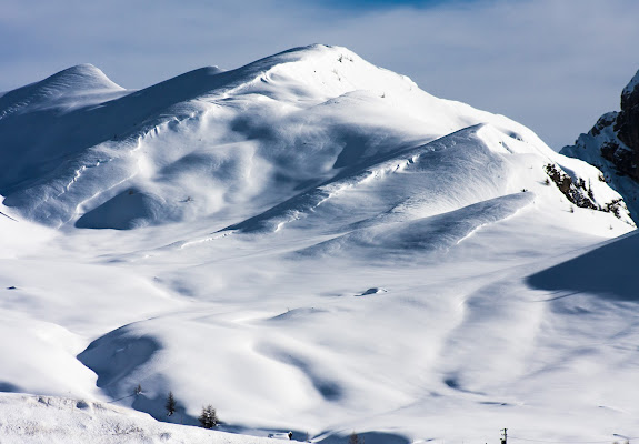 WhiteParadise di MicheleFaggian