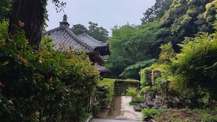 86の静岡修行の旅・エコパアリーナ＆スタジアム・ザザシティ＆アクトシティ・龍潭寺・君に叱られたに関するカスタム事例の投稿画像18枚目