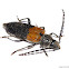 Long Horn Beetle