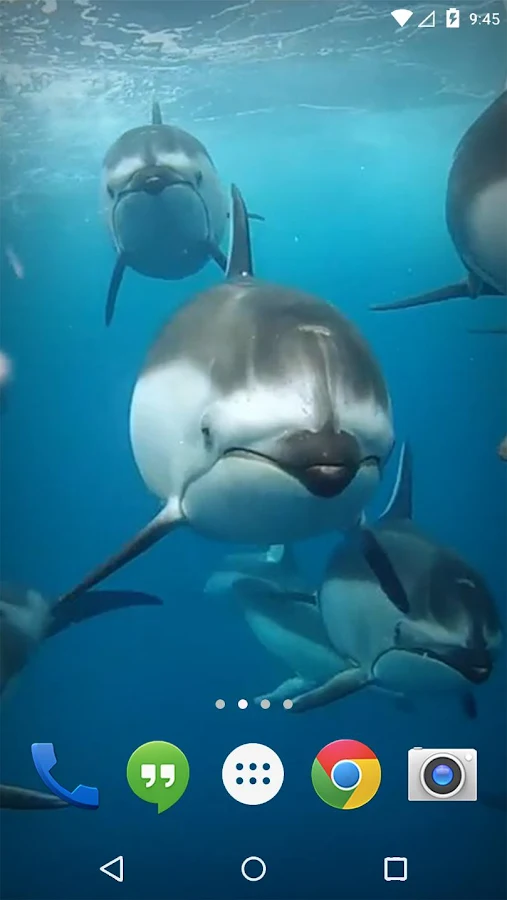   Ocean 3D Dolphin Live Wall: captura de tela 