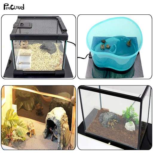 images slider number - 5