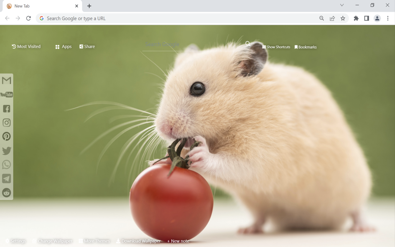 Hamster Wallpaper Preview image 1